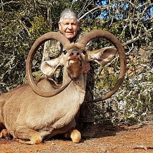 Unusual Kudu Trophy