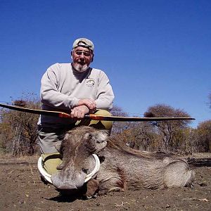 Bowhunting Warthog Zimbabwe