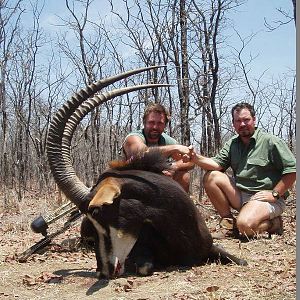 Sable Bowhunt in Zimbabwe