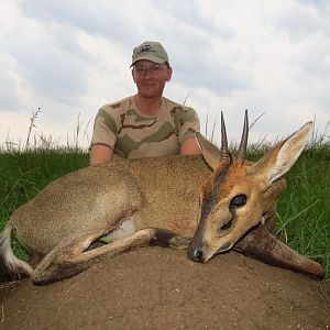 Grey Duiker from our first safari for the year