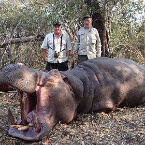 Hunt Hippo Zimbabwe