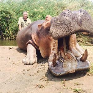 Hunt Hippo Zimbabwe