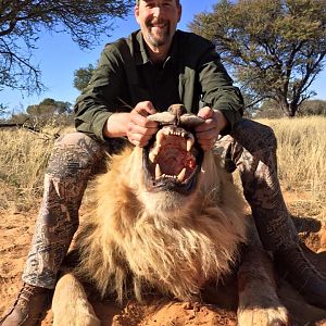 Hunting Lion South Africa