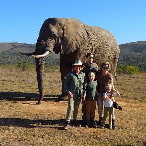 Elephant Visit