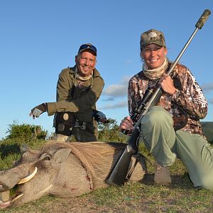 South Africa Warthog Hunt