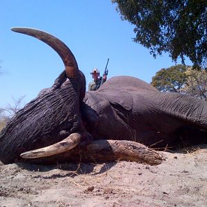 Namibia Hunting Elephant