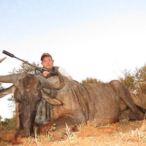 South Africa Blue Wildebeest Hunting