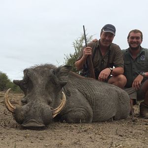 South Africa Warthog Hunt