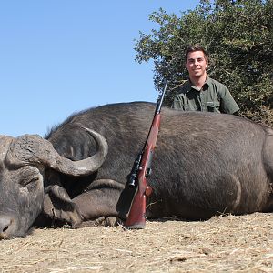 Hunting Buffalo Cow South Africa