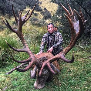 Hunting Red Stag New Zealand