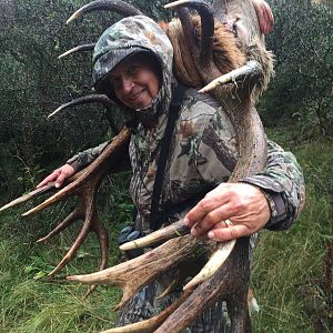 New Zealand Red Stag Hunt