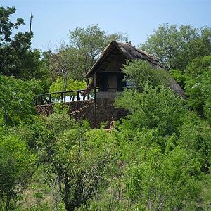 Accommodation Matetsi Zimbabwe Hunting