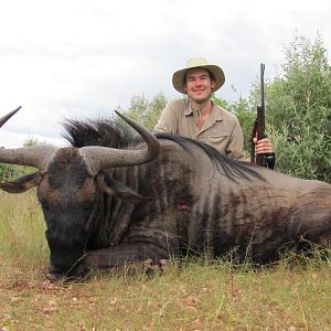 Namibia Blue Wildebeest Hunting