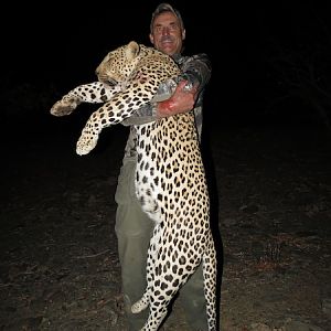 Hunting Leopard Namibia