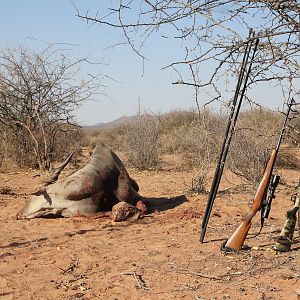 Namibia Eland Hunt