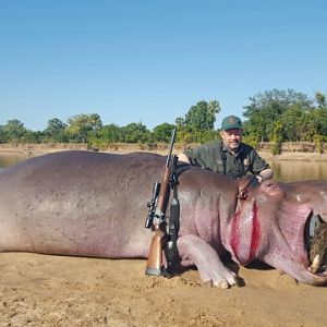Hippo Hunt In South Africa