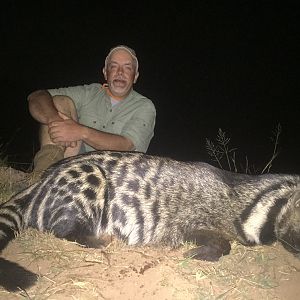 Hunt South Africa African Civet