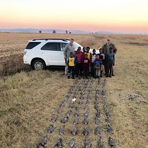 South Africa Dove Hunt