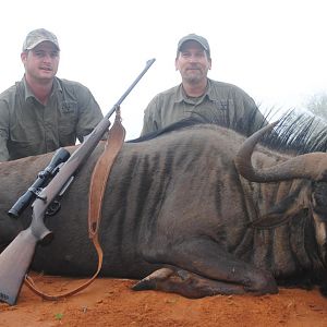 Hunting Blue Wildebeest South Africa