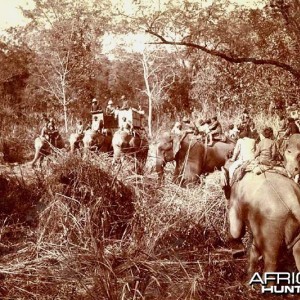 His Imperial Majesty's Shoot, Nepal 1911