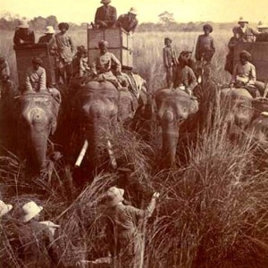 His Imperial Majesty's Shoot, Nepal 1911