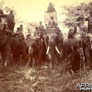 His Imperial Majesty's Shoot, Nepal 1911