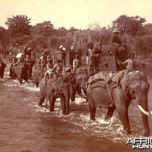 His Imperial Majesty's Shoot, Nepal 1911