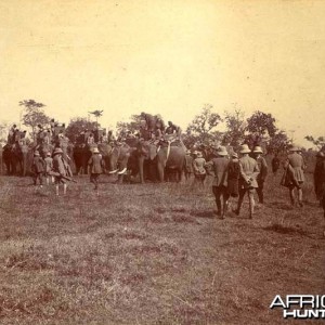 His Imperial Majesty's Shoot, Nepal 1911