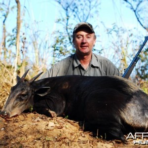 Yellow Backed Duiker Hunt in CAR