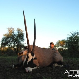 Gemsbok bull hunt in Limpopo RSA - 36 1/4 inches