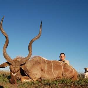 Kudu hunt in Limpopo RSA