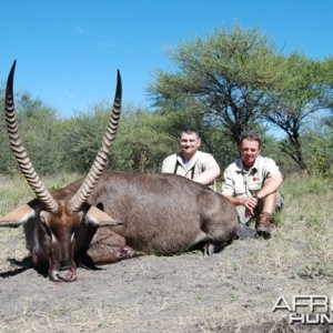 Waterbuck hunt in Limpopo RSA - 29 5/8 inches