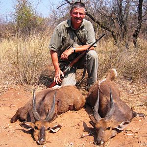 Double on bushbuck - South Africa