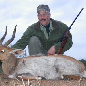 Bushbuck