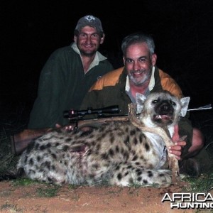 Hunting Hyena South Africa