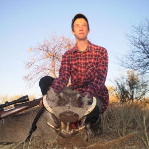 First African animal for Martin - Warthog