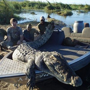 Crocodile Tanzania  Hunting