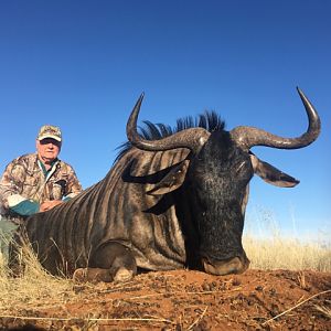 South Africa Hunt Blue Wildebeest