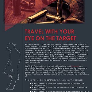 Travel with your eye on the target