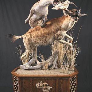 Taxidermy Scene