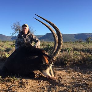 South Africa Sable Antelope Hunt