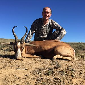 South Africa Hunt Copper Springbok