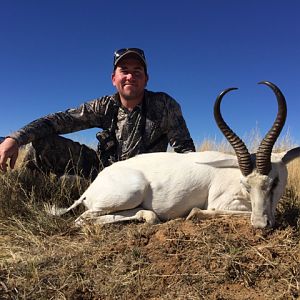 White Springbok Hunt South Africa