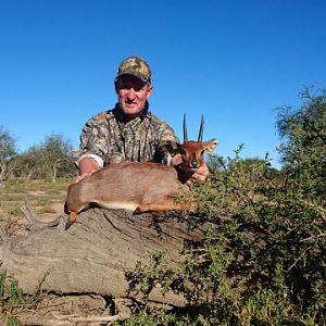 South Africa Steenbok Hunting