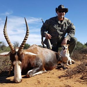 South Africa Blesbok Hunt