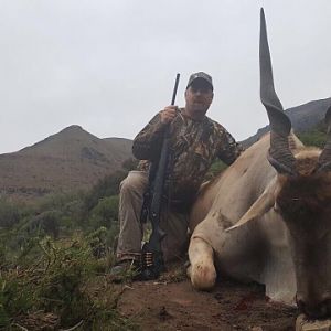 Hunting Eland South Africa