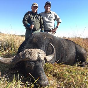 Hunting Buffalo in South Africa