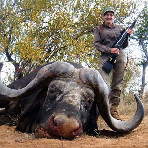 Cape Buffalo South Africa Hunt