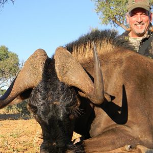 Hunting South Africa Black Wildebeest