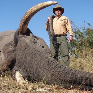 Elephant South Africa Hunting